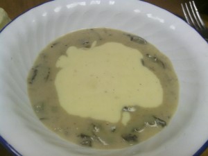 This is Cream of Mushroom soup I made to go with dinner.  http://dalevillealabamakitchens.com/2013/01/23/331/